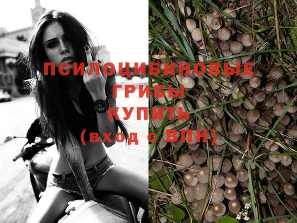 винт Осинники