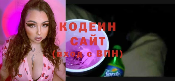 крисы Пересвет