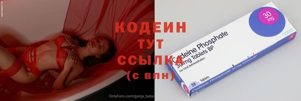 крисы Пересвет