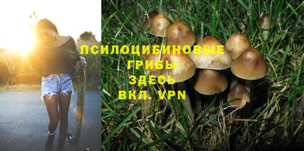 крисы Пересвет