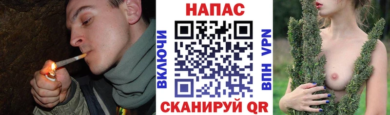 Купить  Ростов  Конопля ГИДРОПОН 