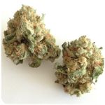 Шишки "White Widow"  (Белая вдова)  Гидропоника -  Бошка VHQ в Ростове
